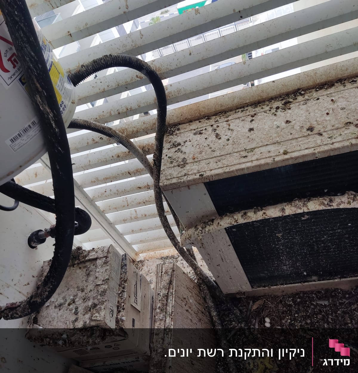 לכלוך ולשלשת יונים על מדף חיצוני עם צינורות